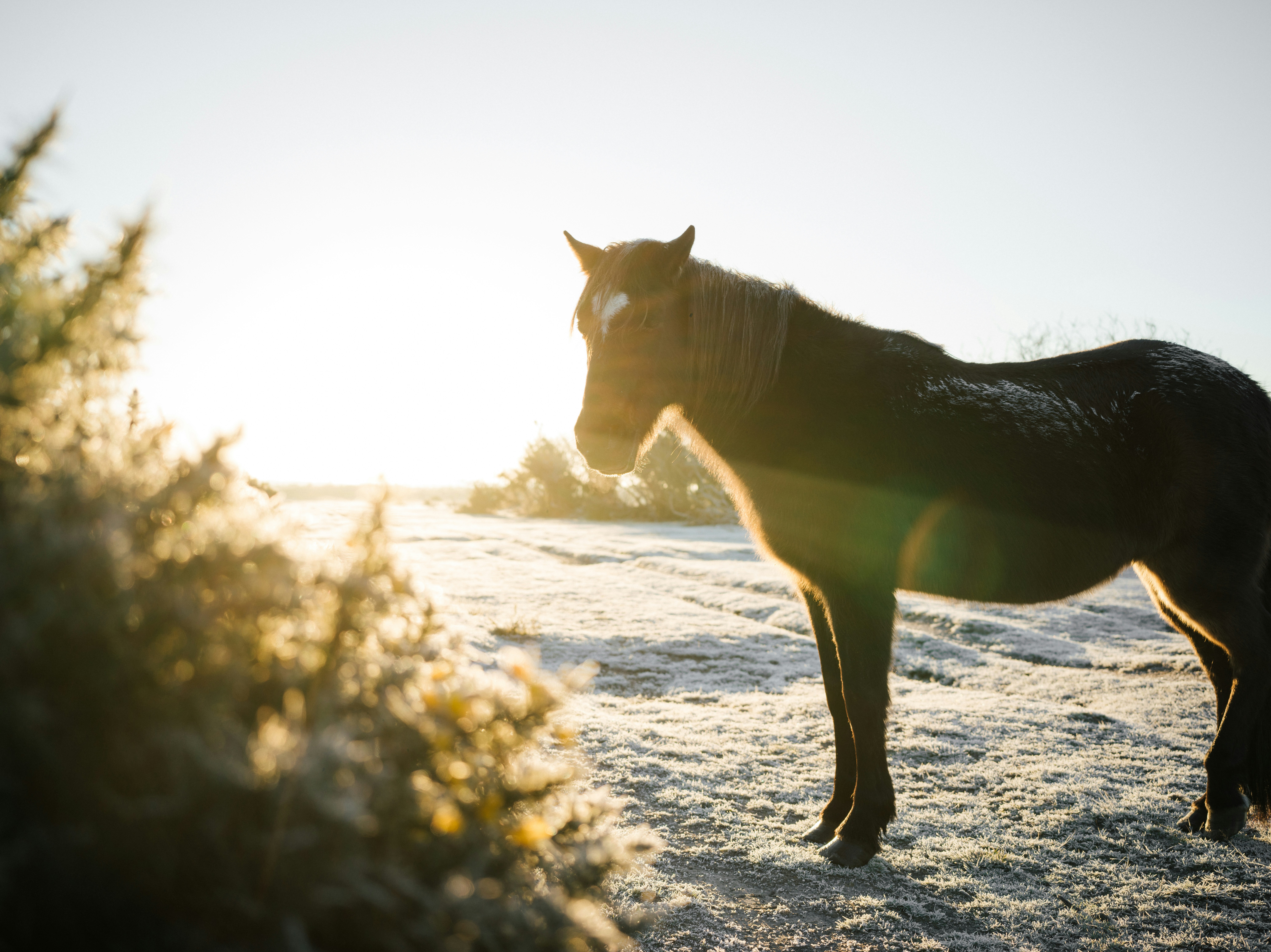 Photo by anniespratt