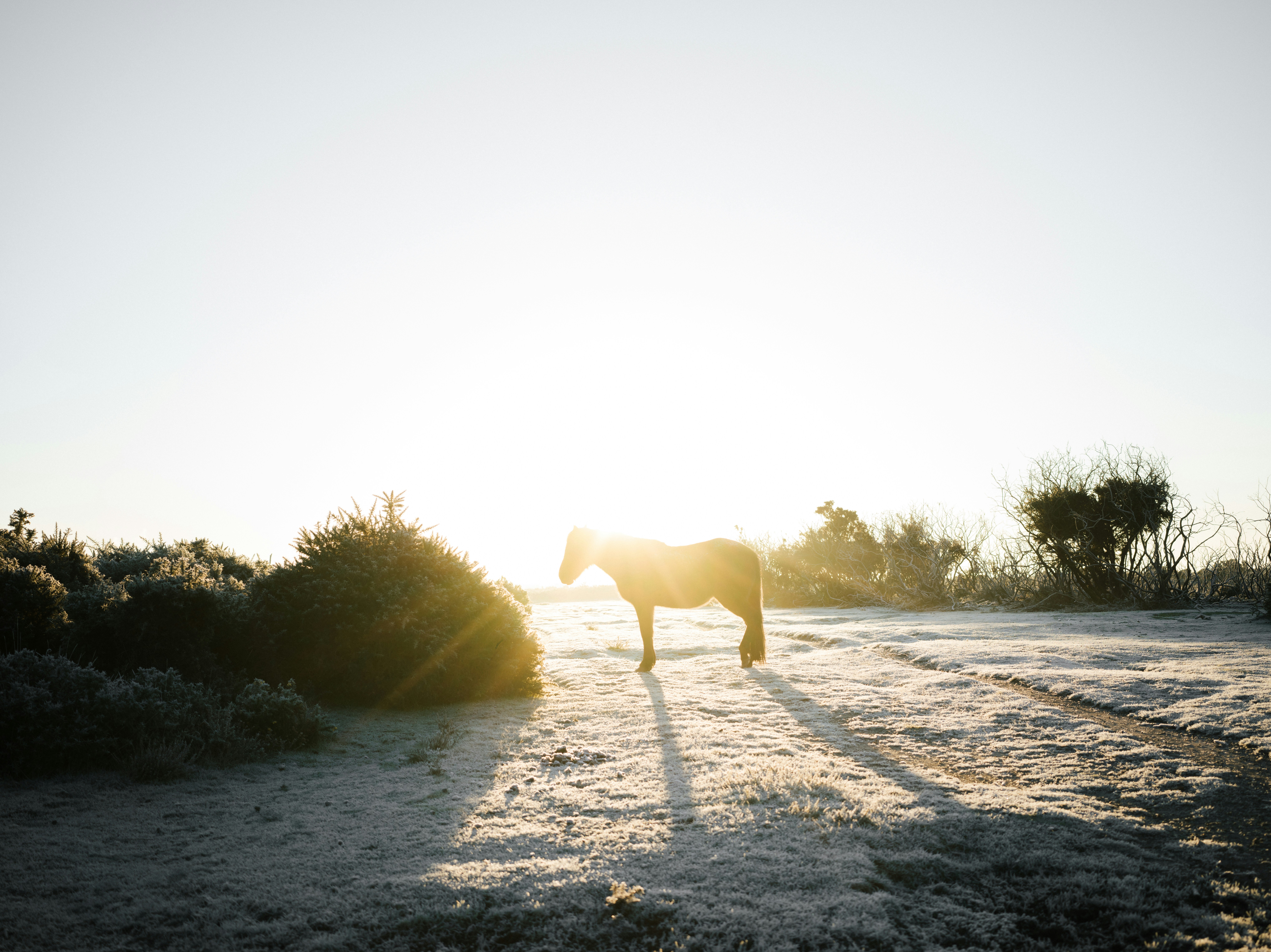 Photo by anniespratt