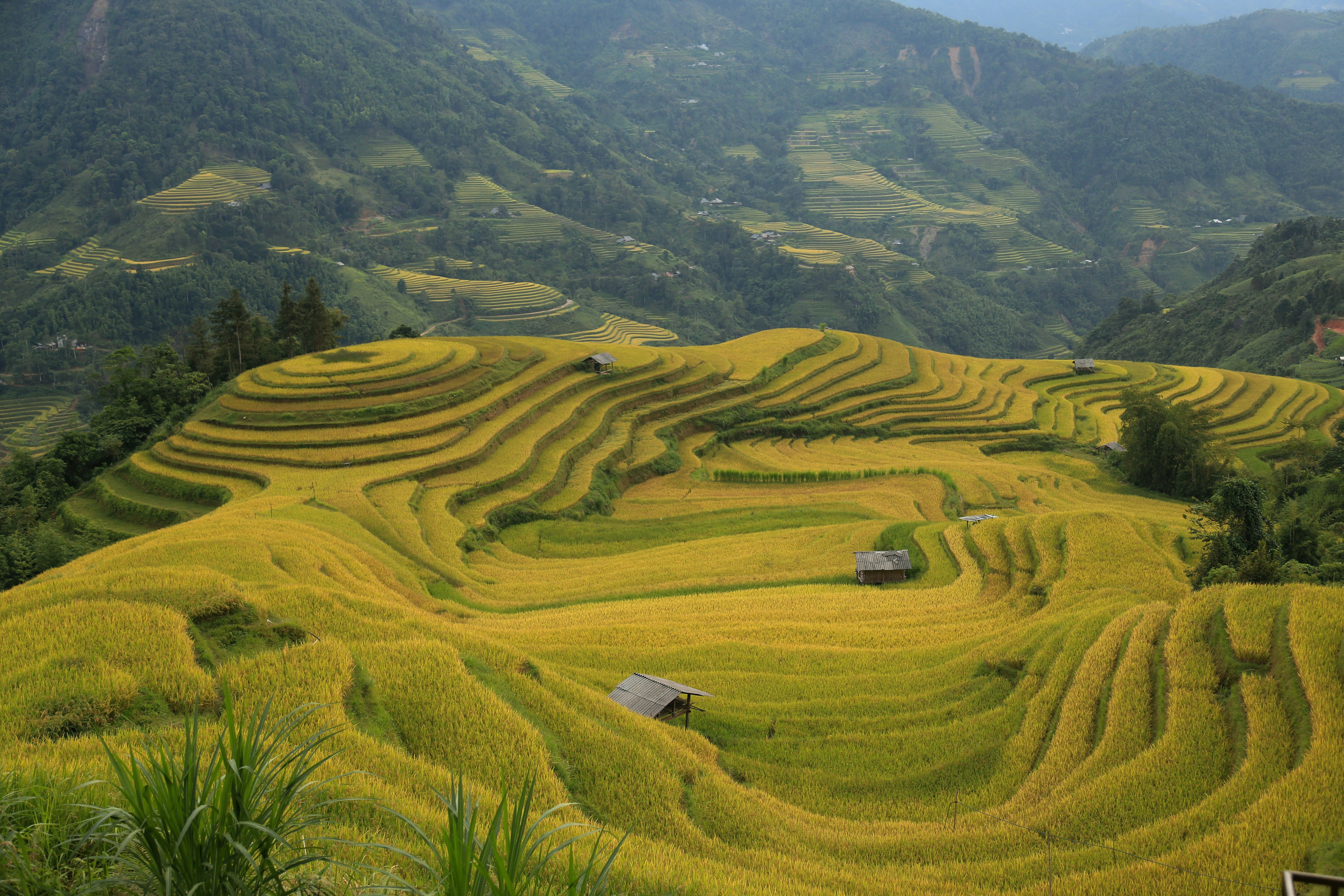 The stunning mountain passes of Ha Giang.