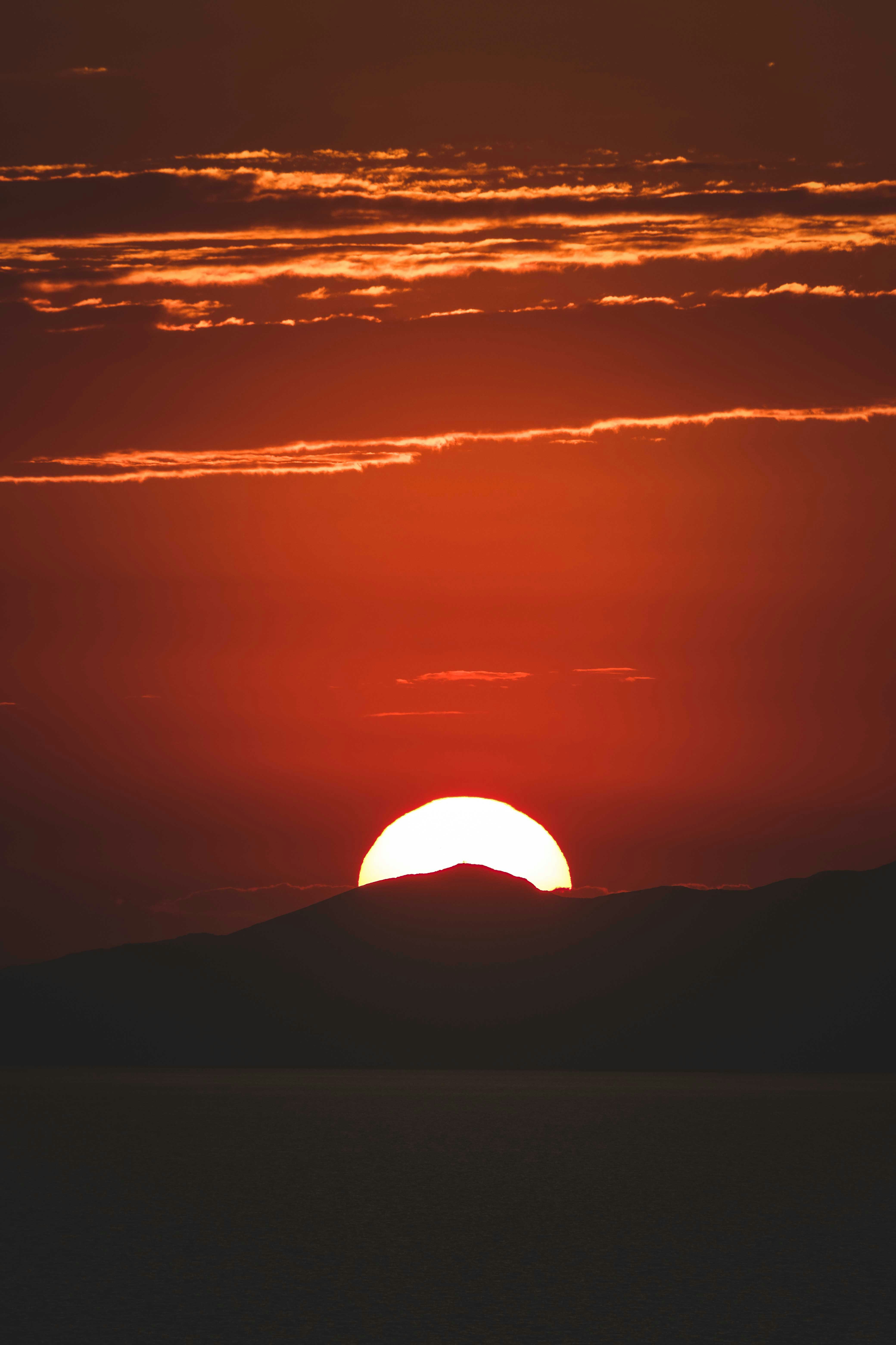 Photo by francesco_ungaro