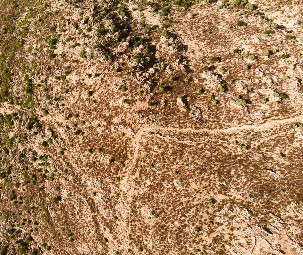a bird's eye view of a dirt and grass area