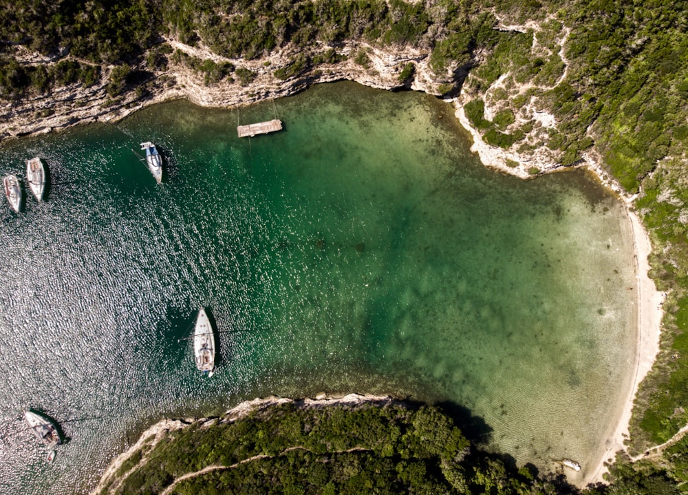 a group of boats floating on top of a body of water