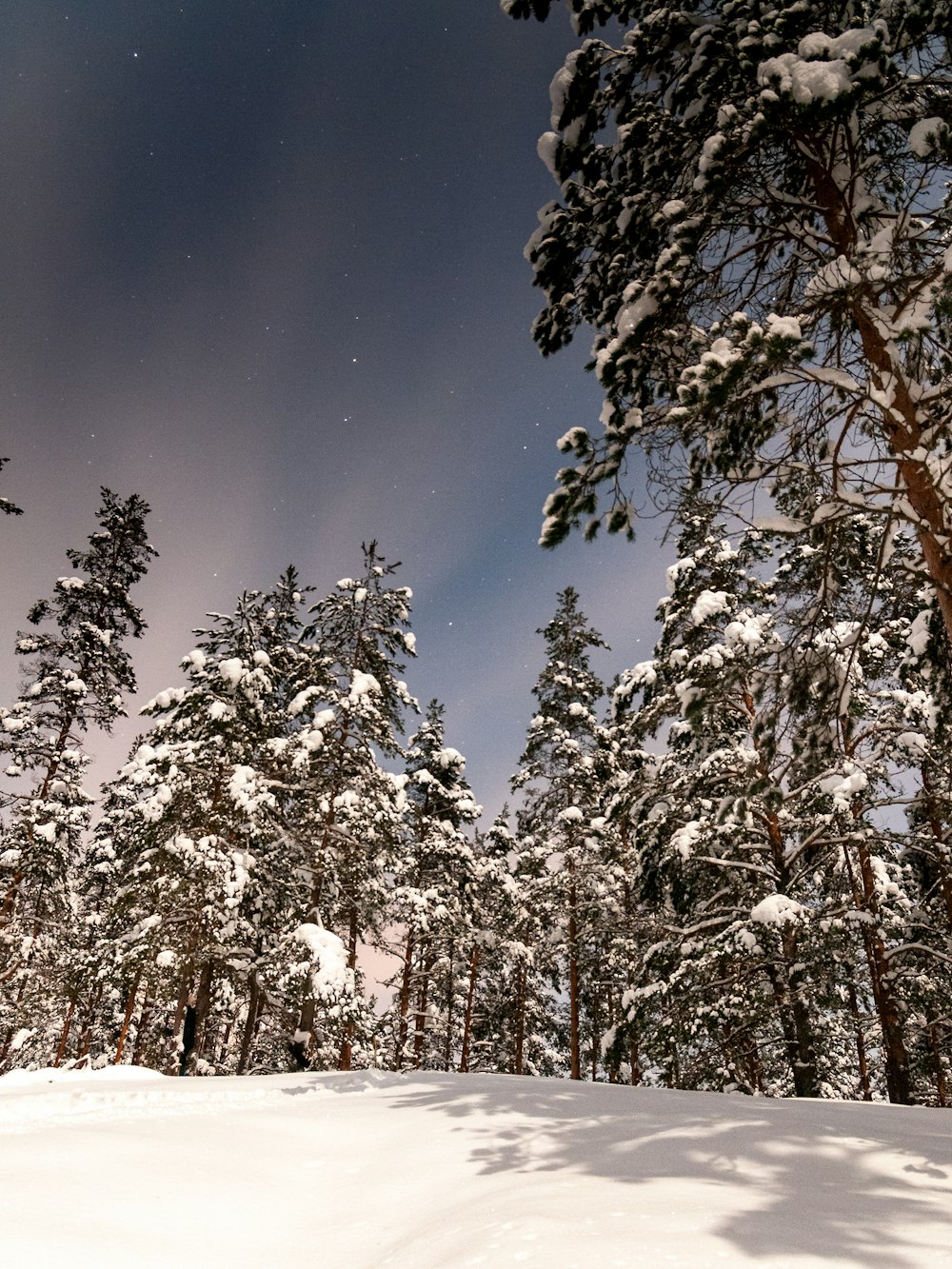 a person riding a snowboard down a snow covered slope