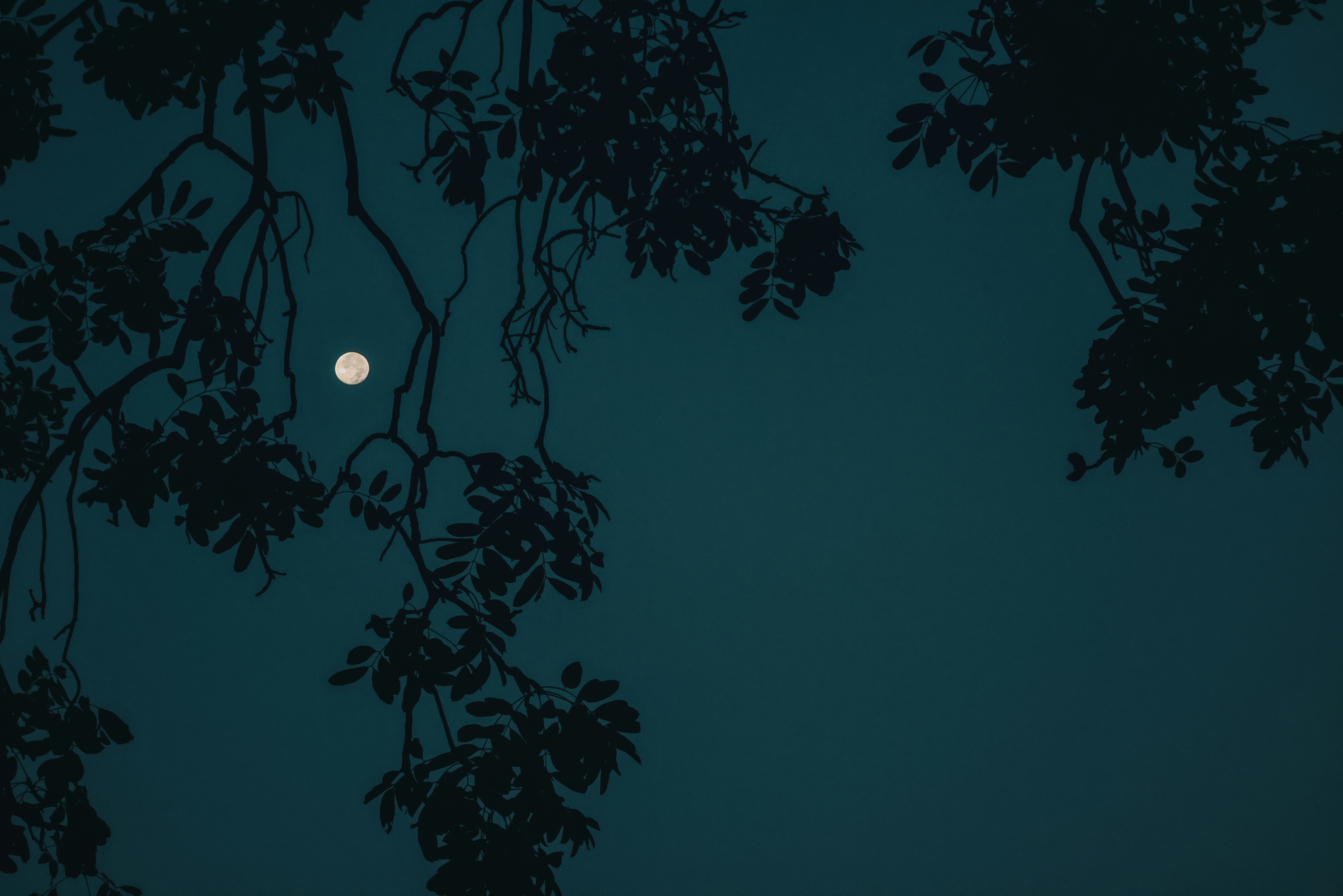 Photo by dickenslin76