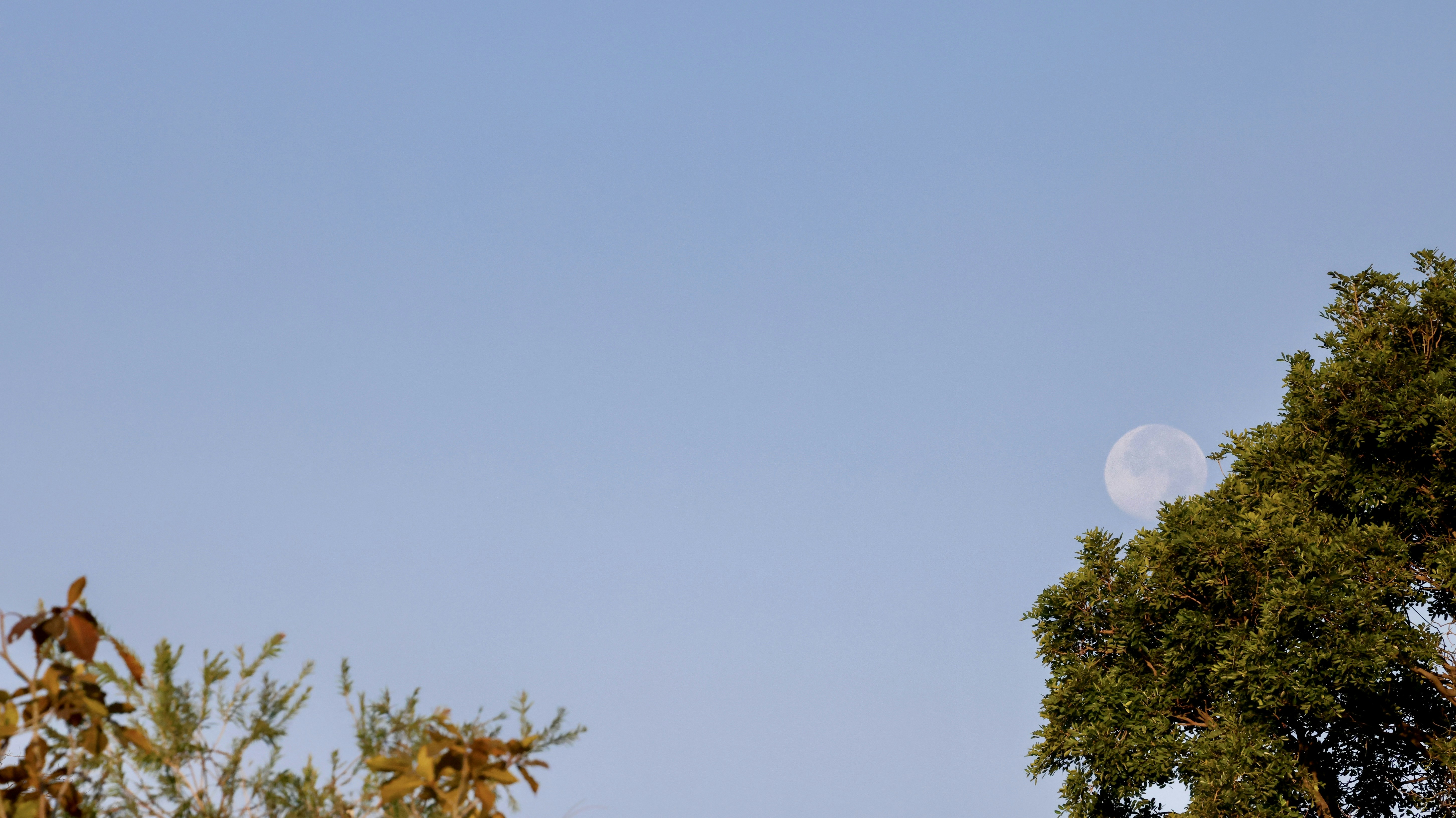 Photo by dickenslin76