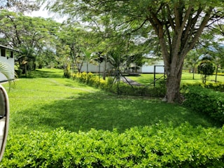 A neatly fenced garden area showcasing a mix of greenery and colorful plants under sunlight.