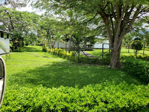 A lush, green garden featuring a well-maintained lawn and various trees providing shade. The garden is enclosed by a fence and includes a pathway leading deeper into the greenery. Vibrant foliage and bright sunlight create a tranquil atmosphere.