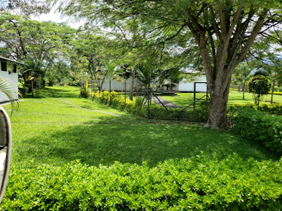 Park-like fenced garden with terrace and grill, perfect for relaxing