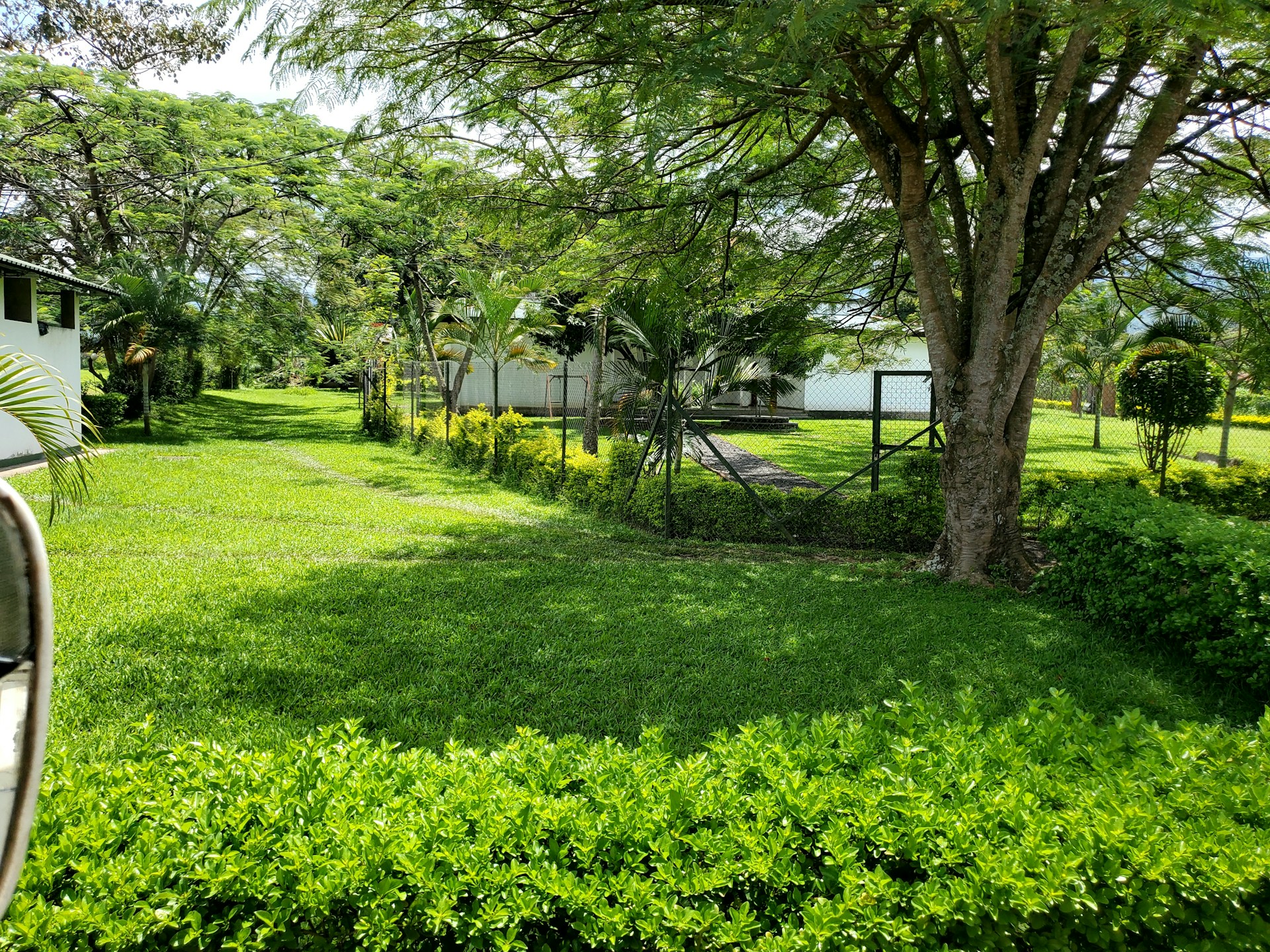 black and brown leather padded tub sofa