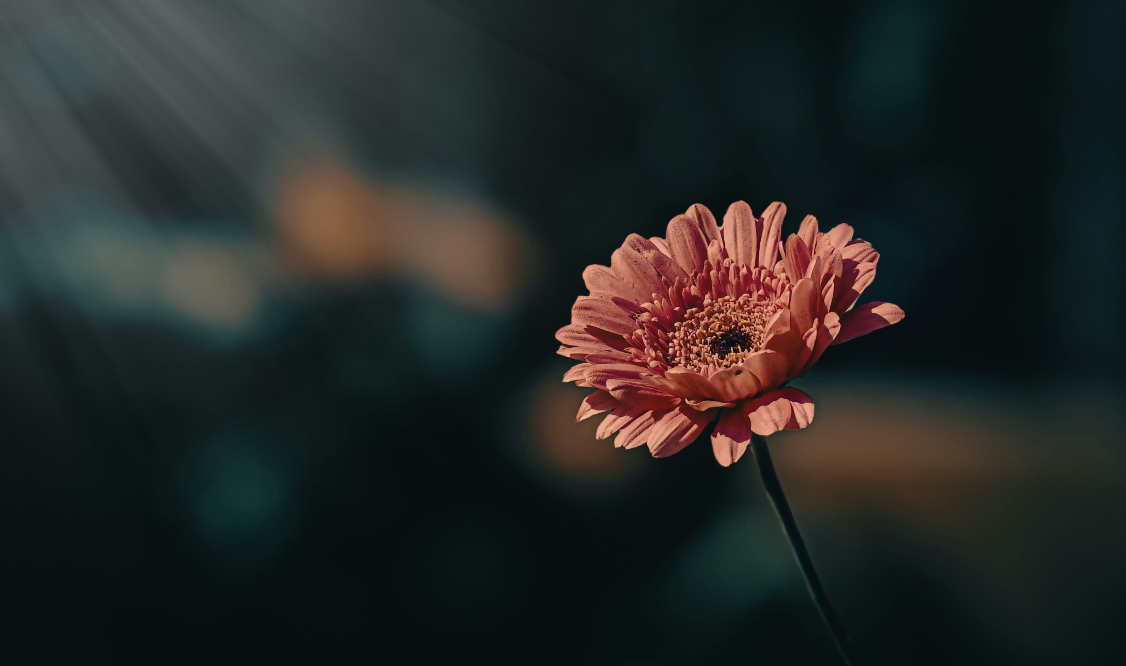 Photo by neverhelp001