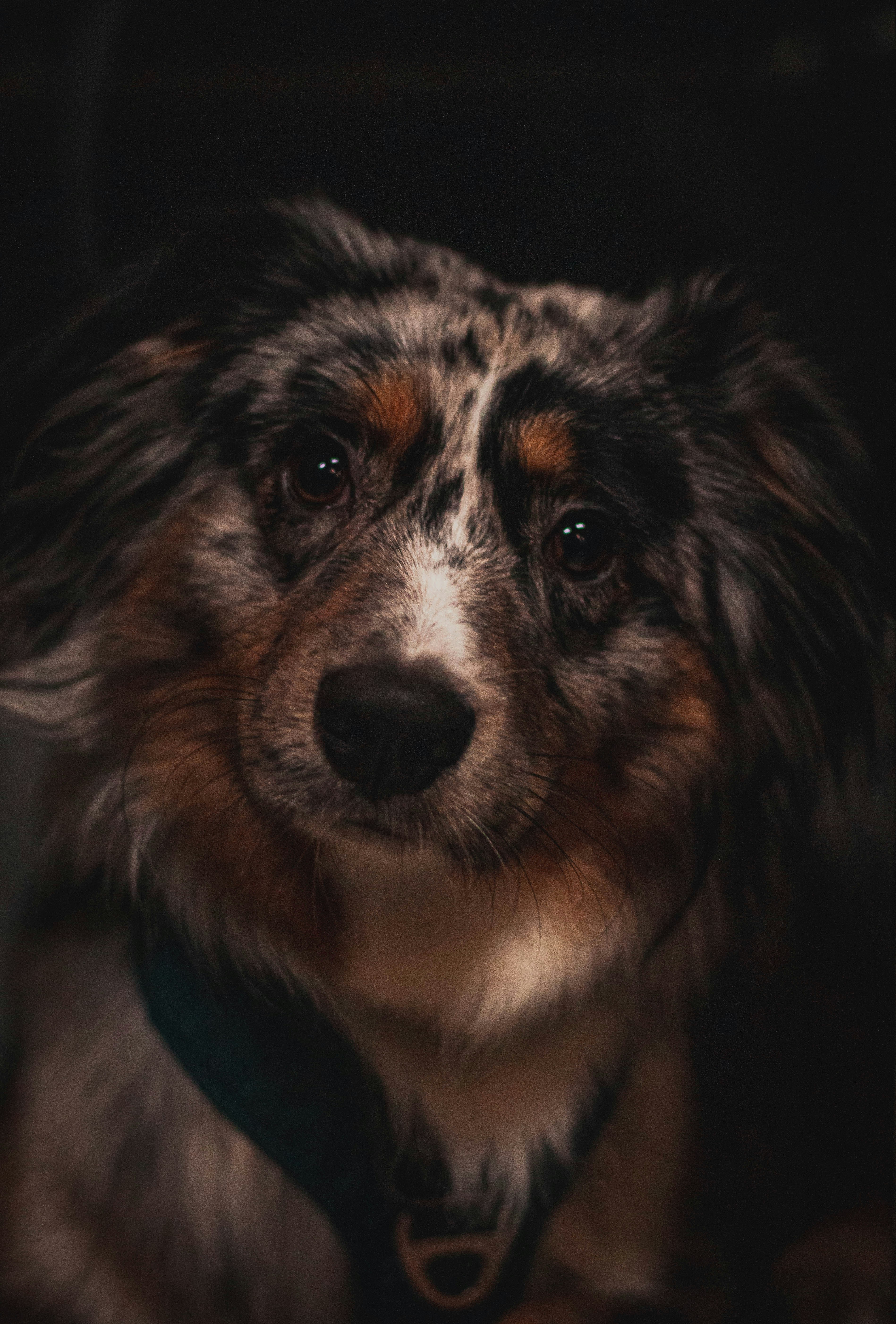 Photo by danielbenavente