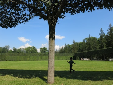 A small child playing happily under the shade of a tree near the charity’s shelter.