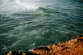 a couple of people swimming in the ocean
