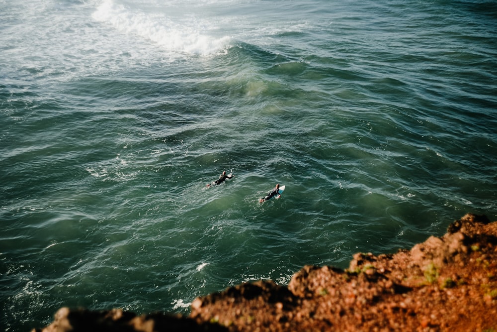 a couple of people swimming in the ocean