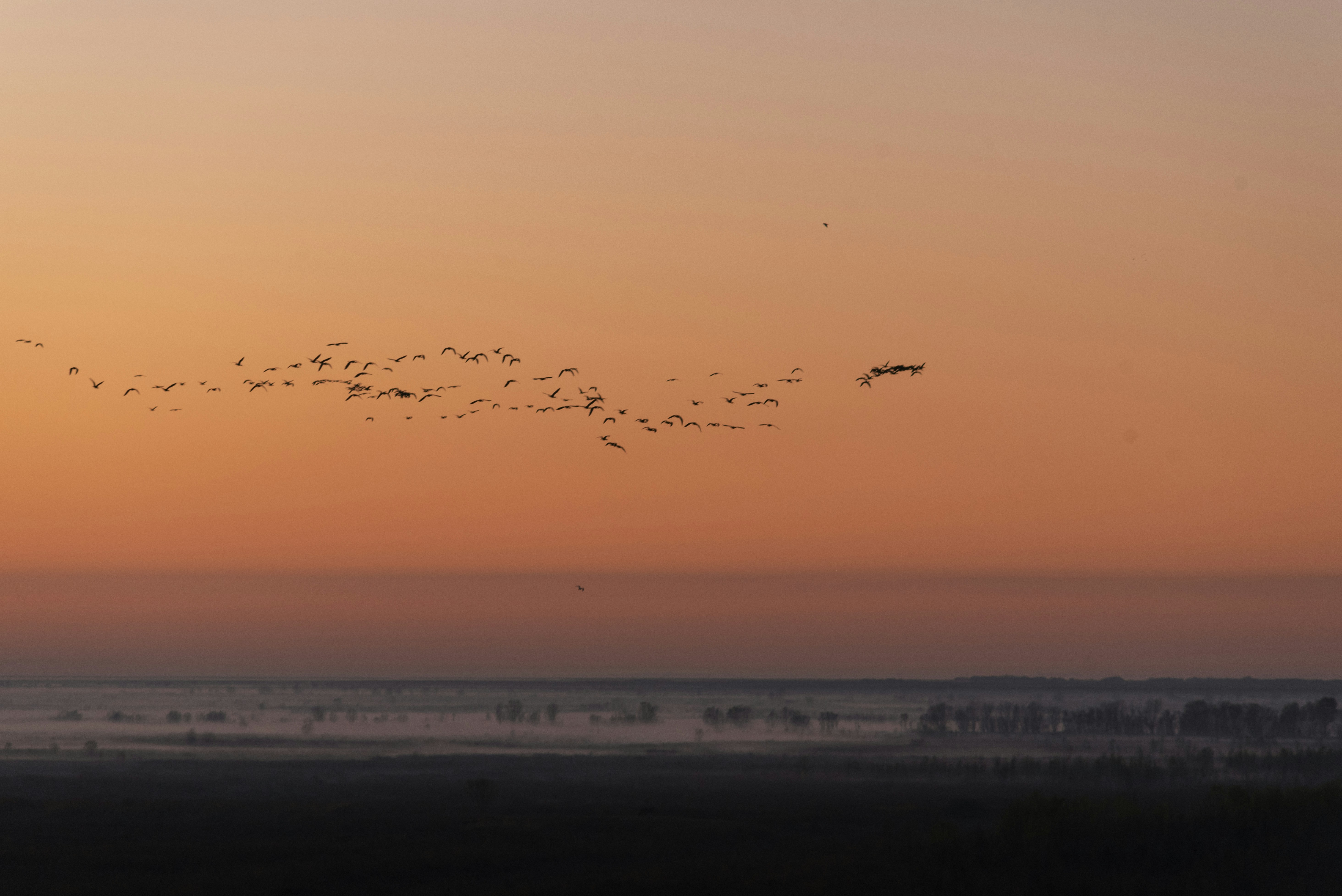 Photo by captoprisko