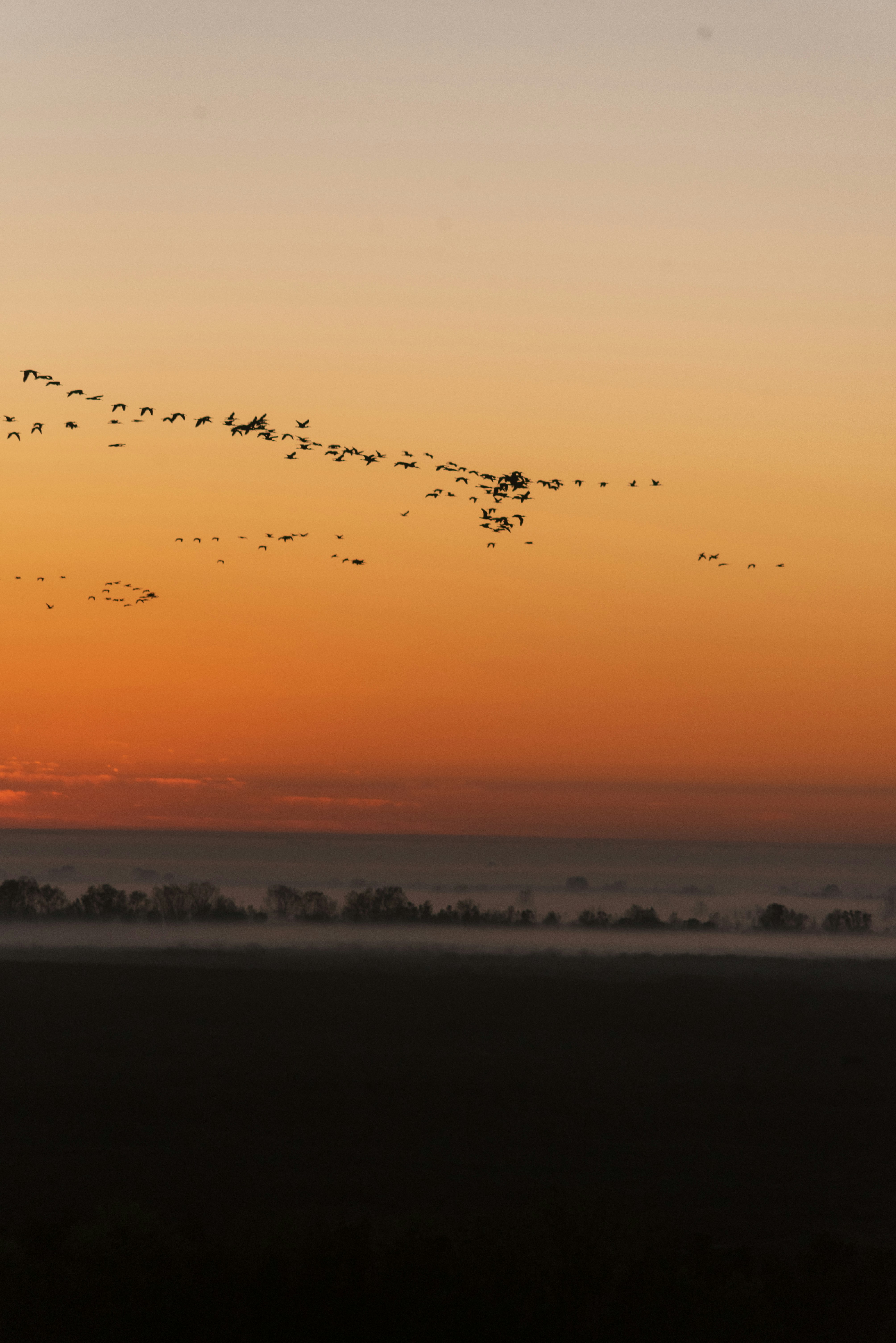 Photo by captoprisko
