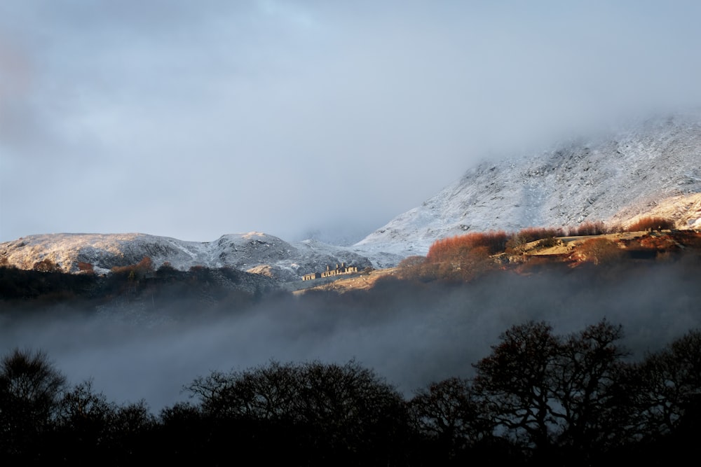 a snow covered mountain with trees in the foreground