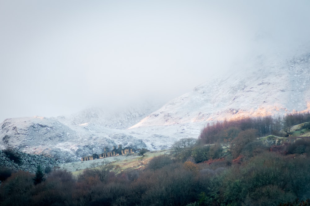 a mountain covered in snow with trees and bushes