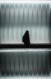 A silhouette of a person stands against an illuminated glass panel background, creating a mysterious and reflective atmosphere. The scene is symmetrical, with the image mirroring the figure and surroundings, enhancing the visual impact.