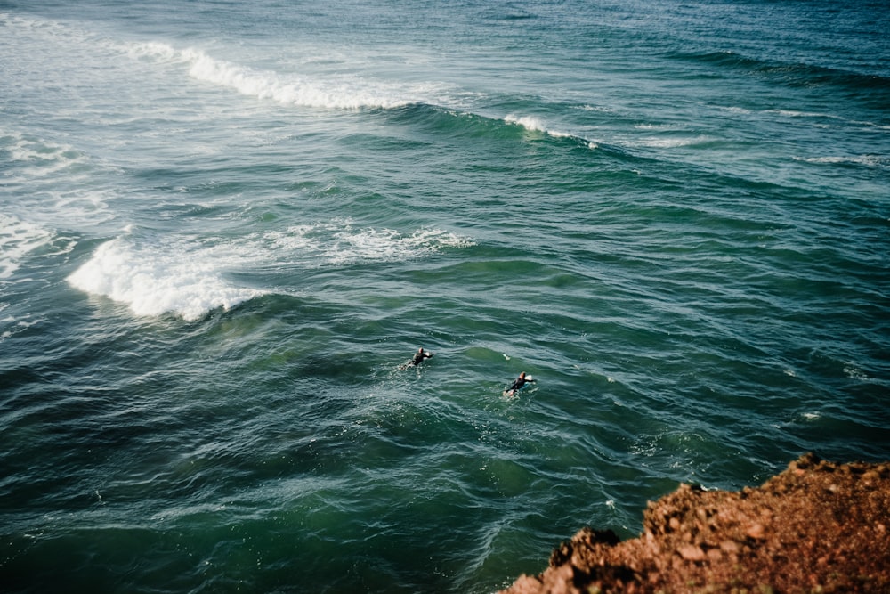 a couple of people riding surfboards on top of a body of water