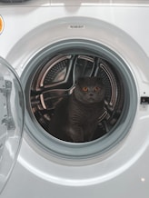 a black cat sitting inside of a washing machine