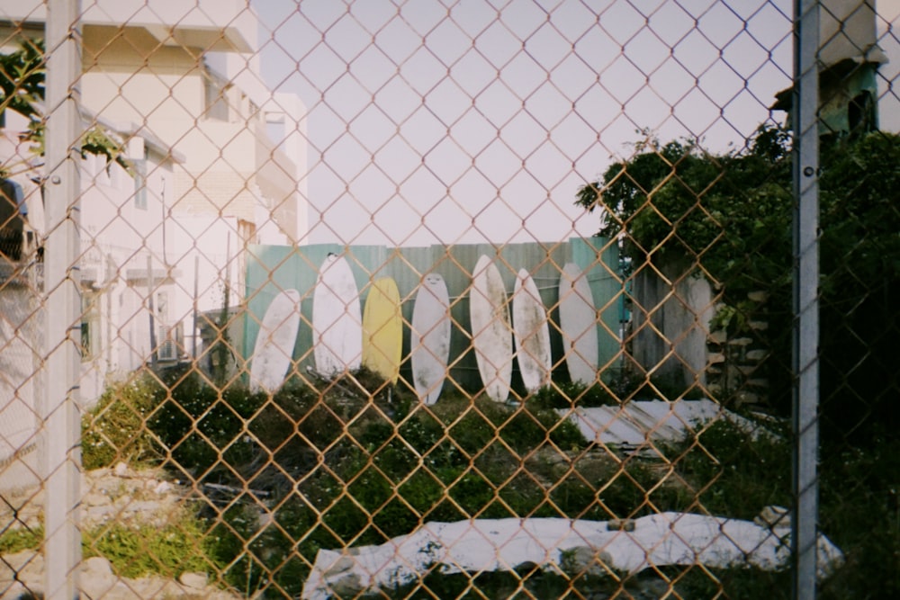 a bunch of surfboards are hanging on a fence