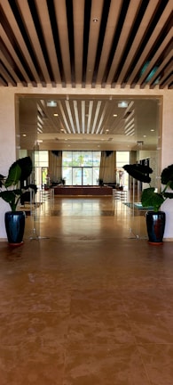 A luxurious hallway with a contemporary design, featuring sleek glass doors and large potted plants on both sides. Beyond the doors, a bright room with large windows allowing natural light in, decorated with curtains and several decorative elements including chairs and floral arrangements.