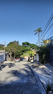 A peaceful neighborhood street lined with trees.