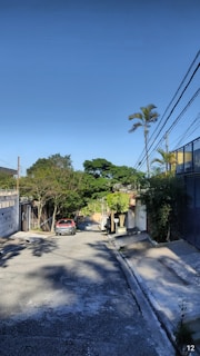 A peaceful neighborhood street lined with trees.