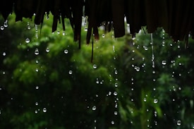 Raindrops cascade down from a thatched roof against a background of lush, green foliage. The droplets are captured in mid-air, creating a serene and soothing scene. The focus on the water drops and the blurred greenery adds depth to the image.