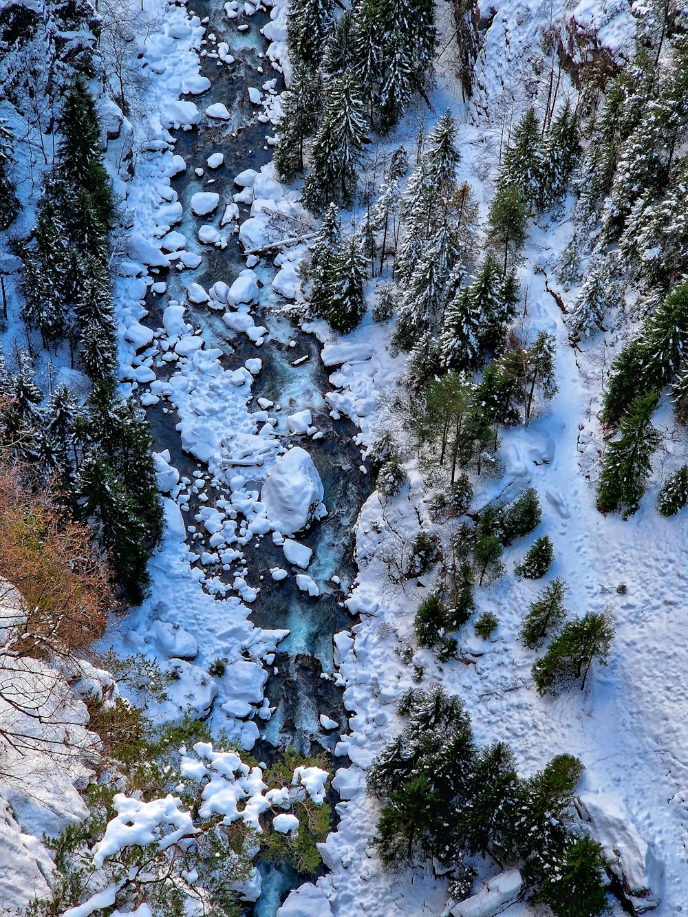 a river running through a snow covered forest