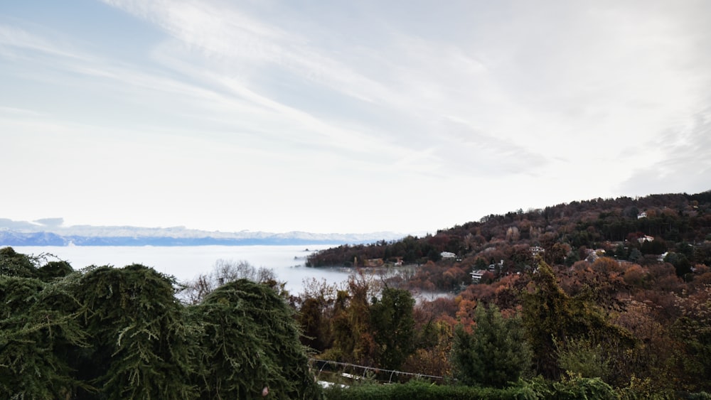 una vista di uno specchio d'acqua da una collina