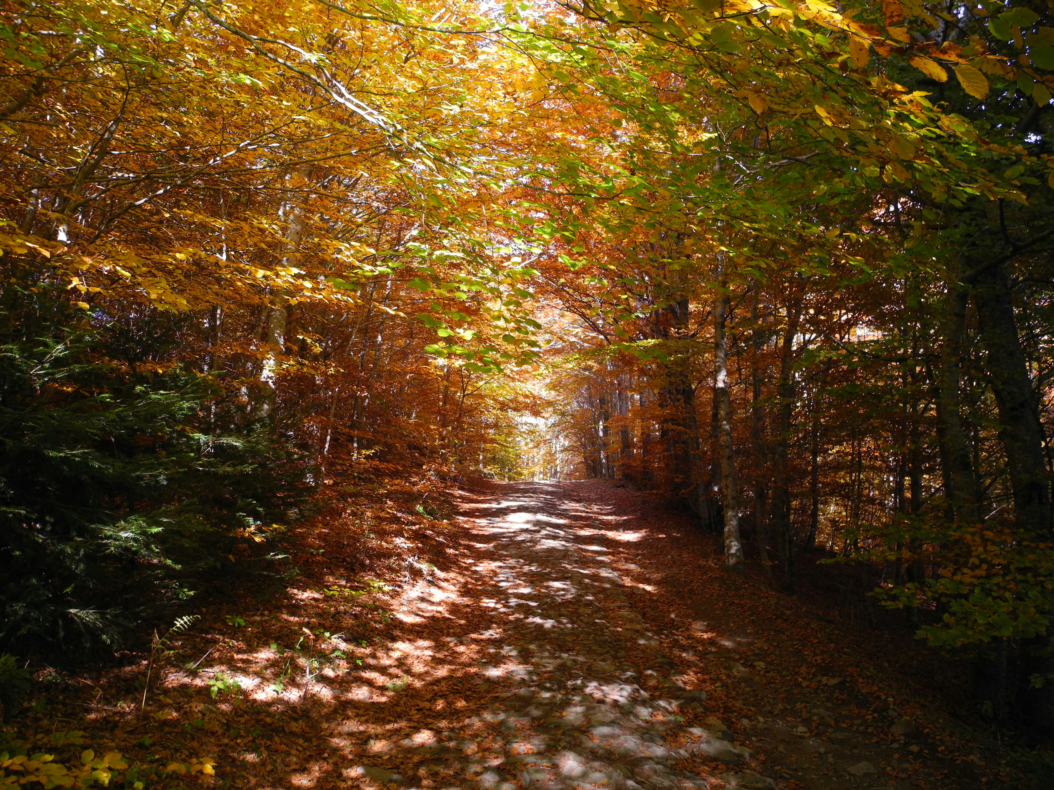 Photo by alessandro_77