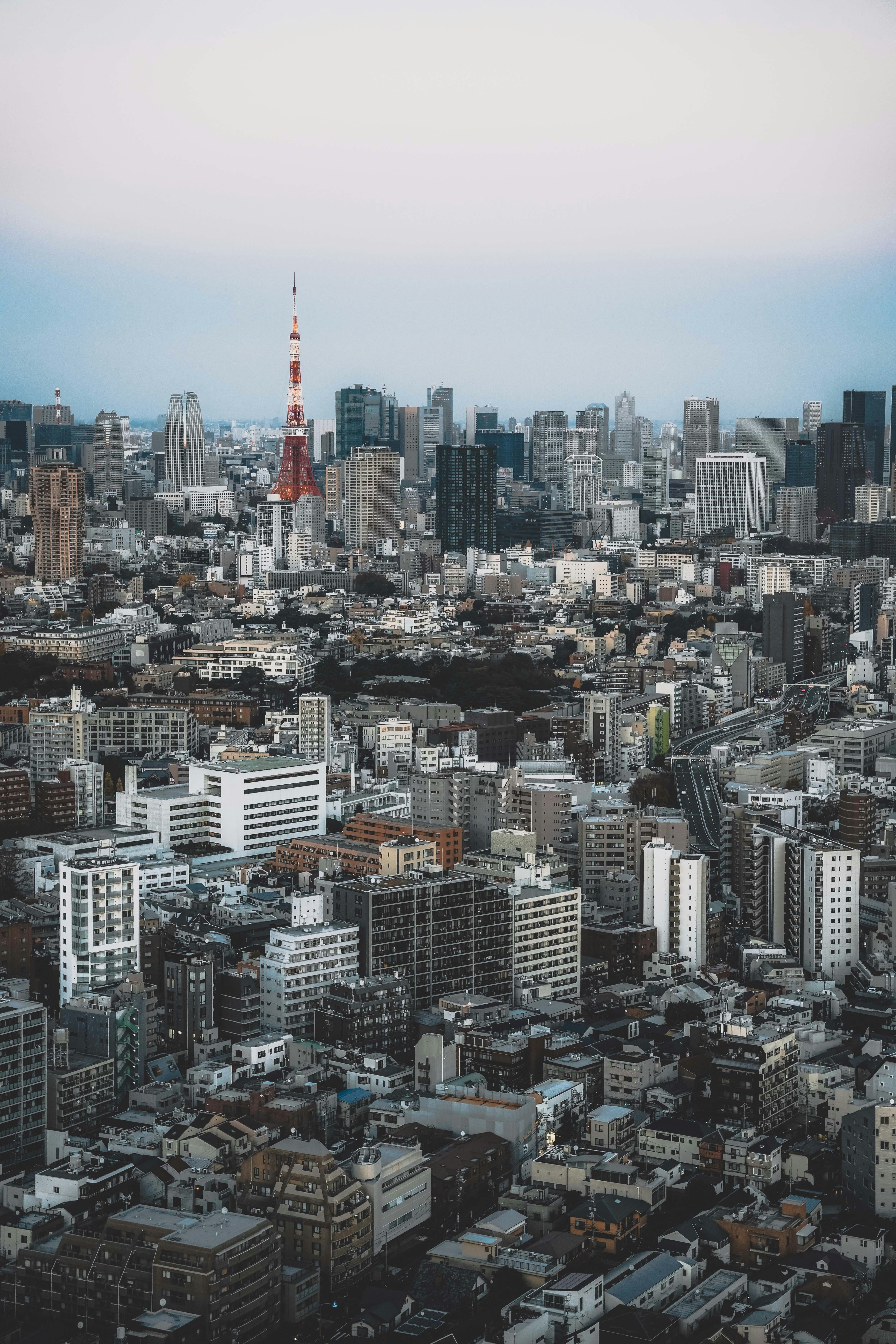 Photo by cosmonaut647