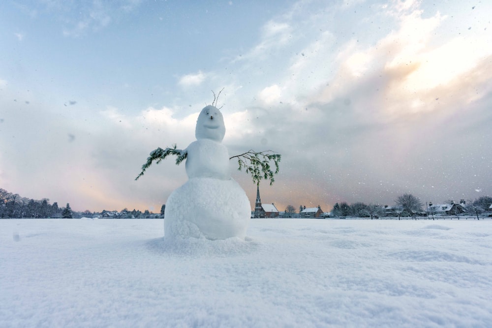 a snowman is standing in the middle of a field