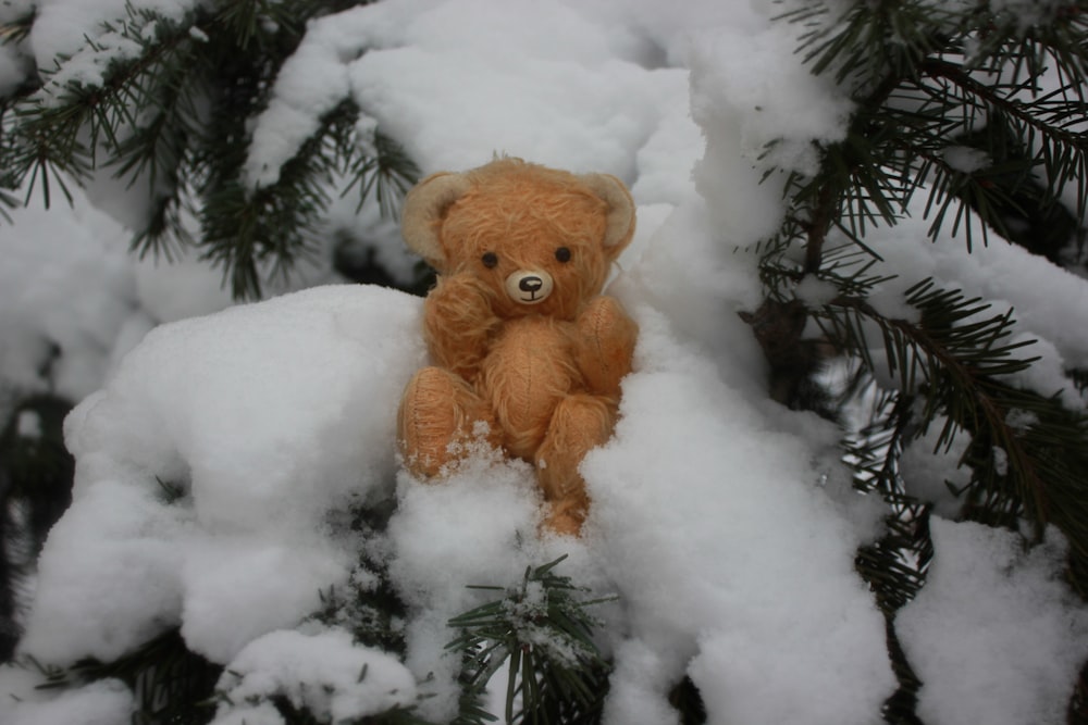 Ein Teddybär sitzt im Schnee