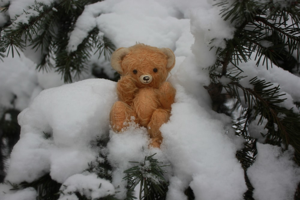 um ursinho de pelúcia está sentado na neve