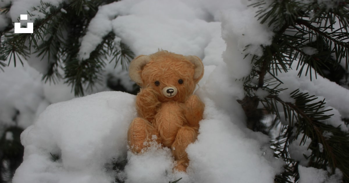 Snow teddy bear deals