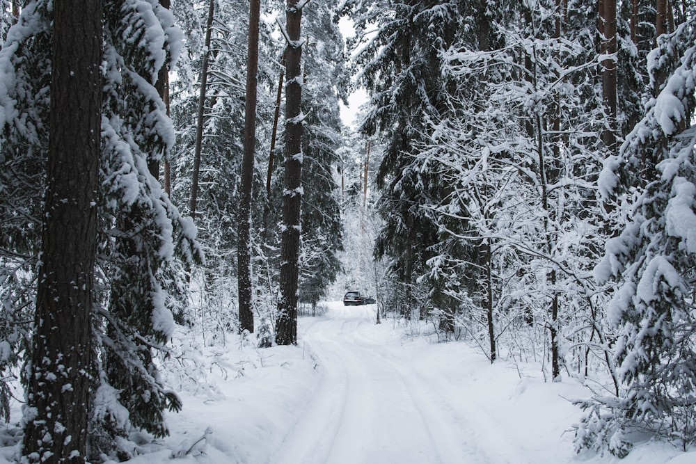 Ein Auto fährt eine schneebedeckte Straße im Wald hinunter