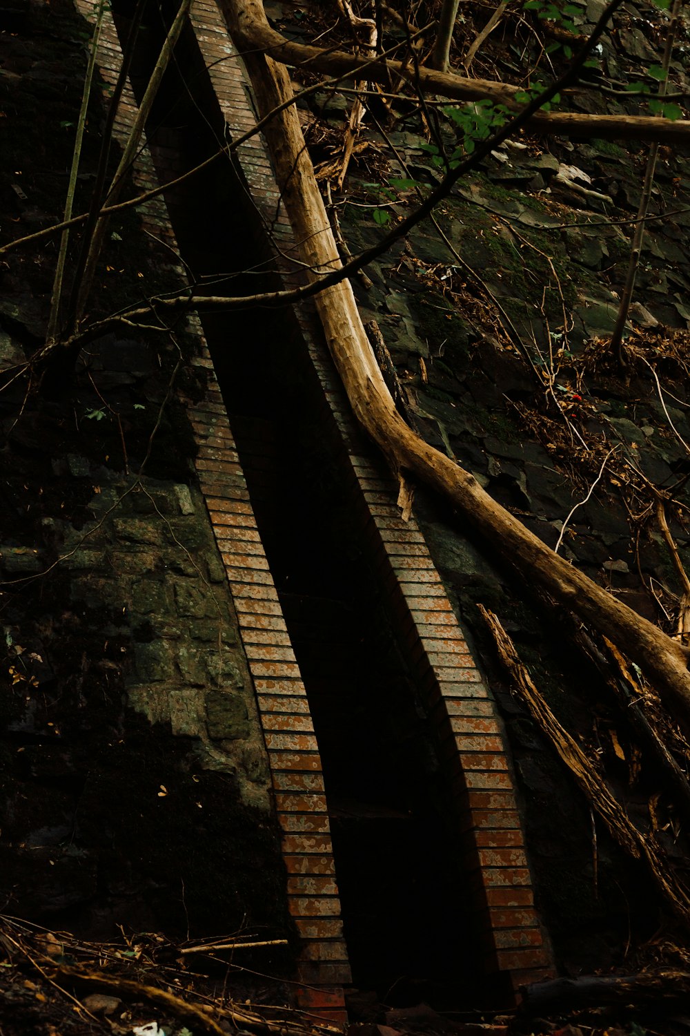 a man riding a skateboard on top of a brick wall