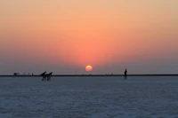 Best Street Food in Kutch: What to Eat and Where to Find It