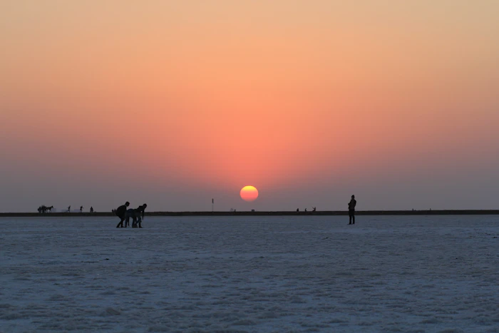 Best Street Food in Kutch: What to Eat and Where to Find It
