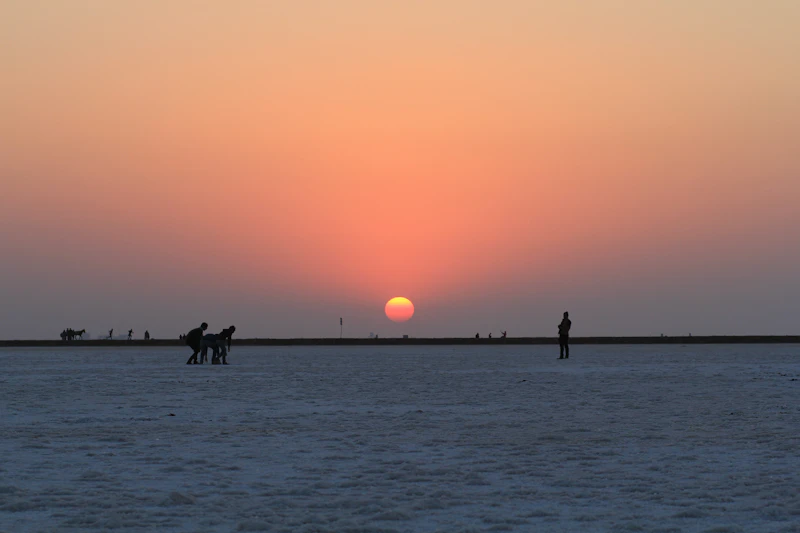 Best Street Food in Kutch: What to Eat and Where to Find It