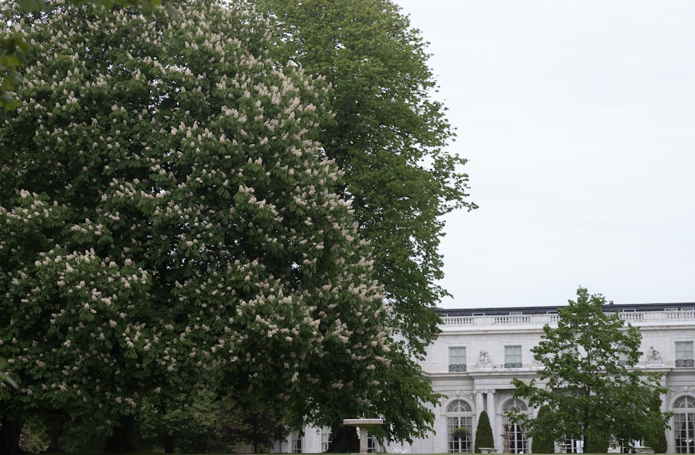a large white building sitting next to a lush green park