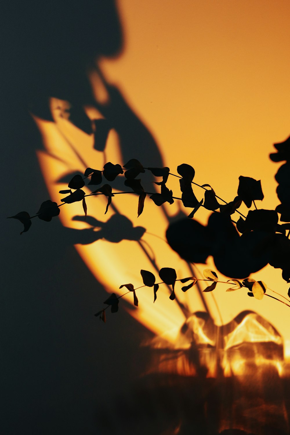 the sun is setting behind a vase with flowers in it