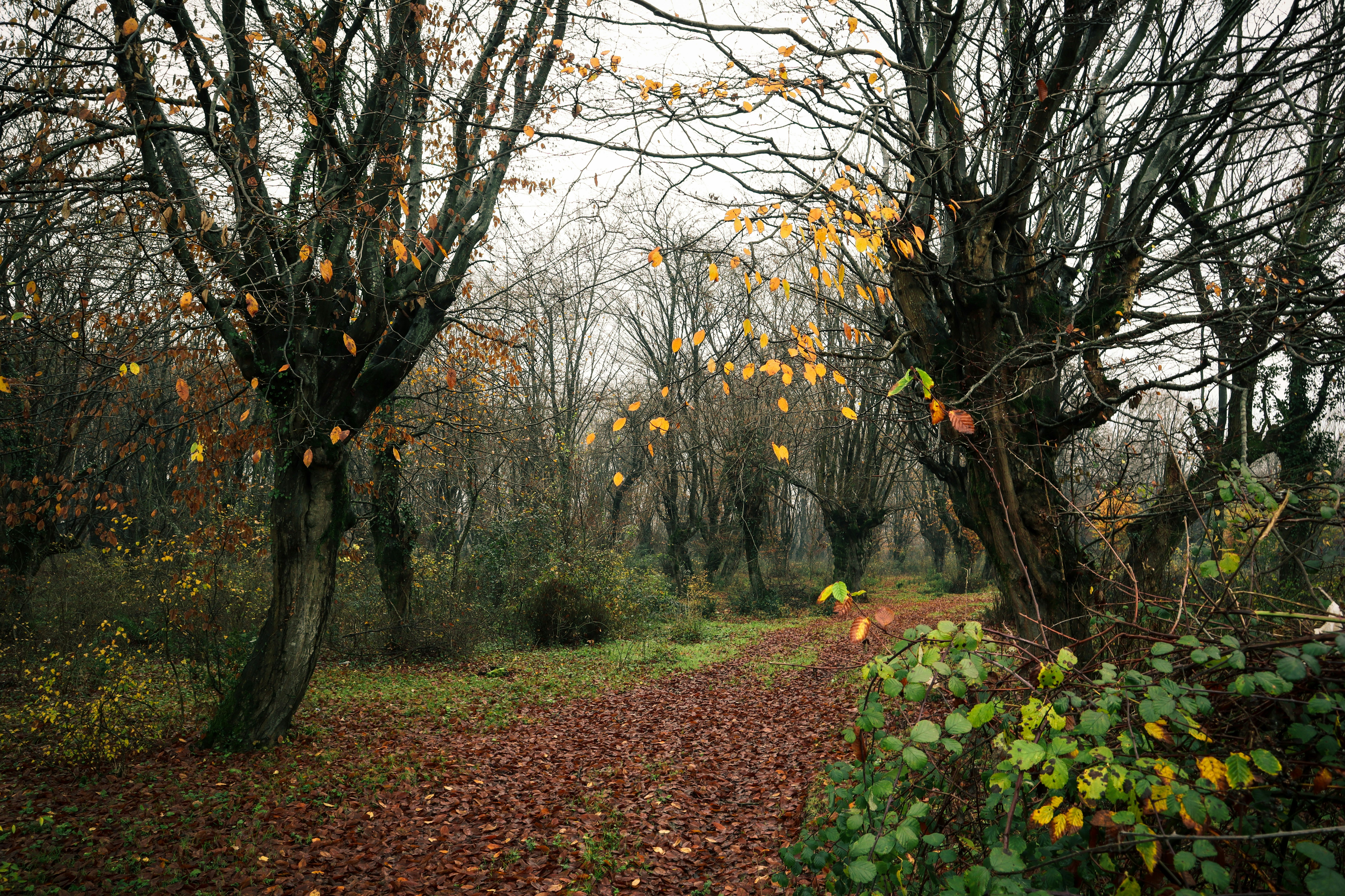 Image by Beyza Yılmaz via Unsplash