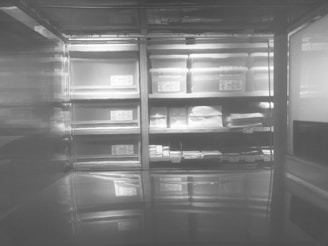 A monochrome image depicting the interior of a refrigerator or storage cabinet with multiple shelves. The shelves are organized with neatly stacked containers and packages, each enclosed in plastic or some other transparent material. The lighting inside is bright, casting reflections on the surface below.