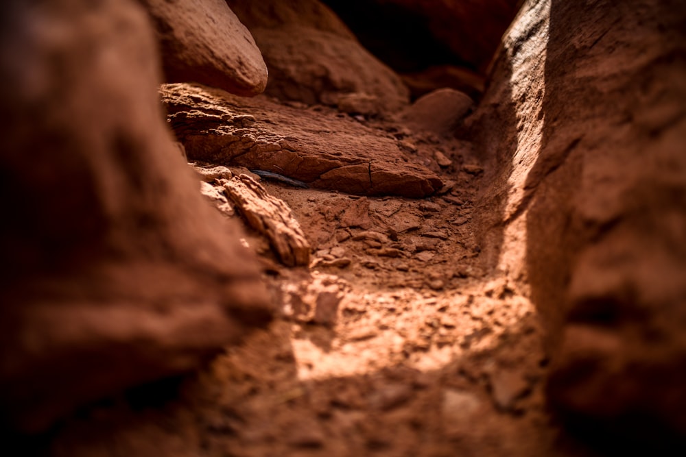 a close up of a rock formation with sunlight coming through it