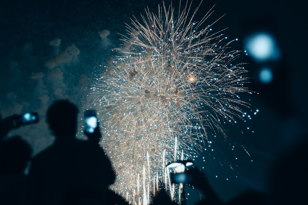 a crowd of people watching a fireworks display