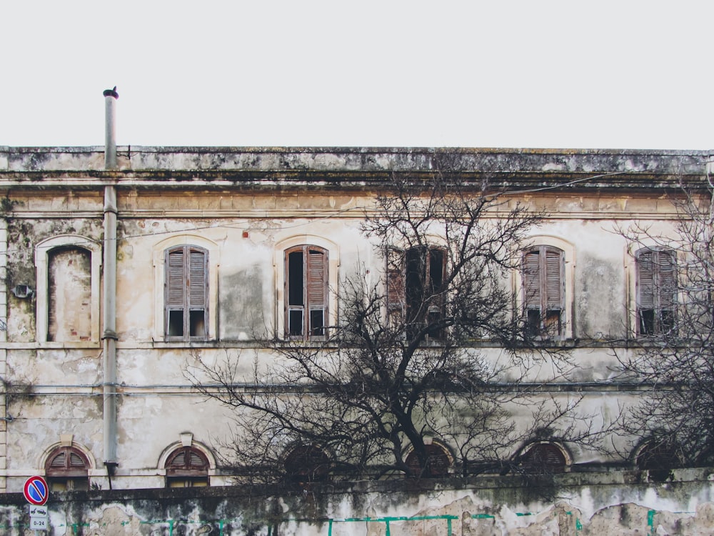 an old building with a tree in front of it